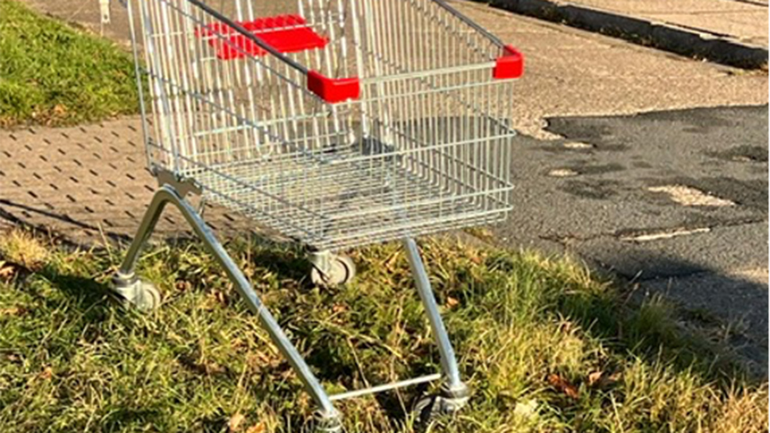 Der neueste Trend heißt „Einkaufswagen-Entsorgung“! 
